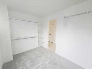 Walk in closet featuring light carpet