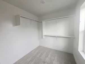 Walk in closet with light carpet