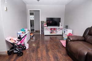 Living room with dark wood-type flooring