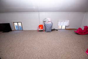 Rec room featuring carpet flooring and wooden walls