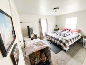 Bedroom with carpet and multiple windows