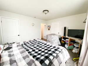 Bedroom featuring carpet and a closet