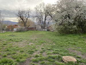 Expansive grassy lot with mature trees and mountain backdrop