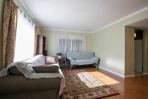 Living area featuring ornamental molding