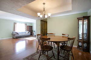 Dining space with a textured ceiling, dark wood finished floors, a raised ceiling, and hanging lights