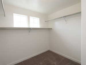 Walk in closet with dark colored carpet