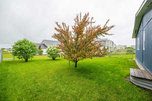 Fenced backyard with a residential view