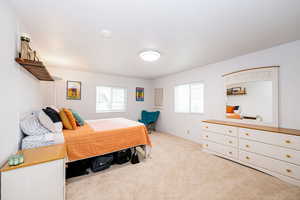 Bedroom featuring multiple windows and light colored carpet