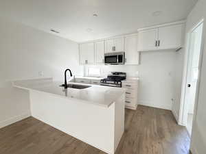 Exact kitchen with 3cm quartz countertops