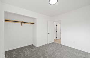 bedroom featuring a barn door and carpet floors