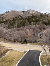 View of mountain background