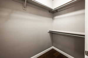 Walk in closet with dark wood-style flooring