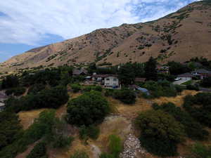 View of mountain background