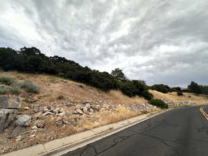 View of asphalt road featuring curbs and sidewalks