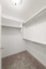 Walk in closet featuring light carpet