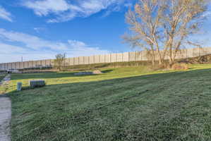 View of green lawn