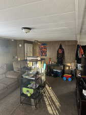 Carpeted living room featuring wooden walls