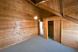 Bonus room featuring wood walls, carpet floors, and a towering ceiling