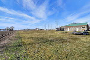 View of grassy yard featuring a trampoline