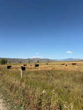 View of yard with a mountain view and a view of countryside