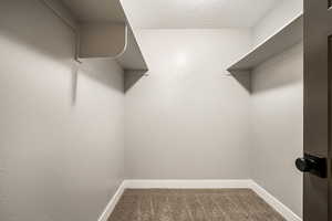 Walk in closet featuring carpet floors
