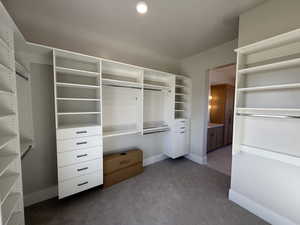 Walk in closet featuring dark carpet