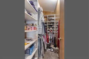 Walk in closet with light colored carpet