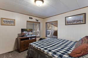 Carpeted bedroom featuring wooden walls