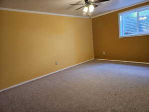Spare room with ornamental molding, carpet floors, and ceiling fan