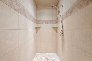 Bathroom view of a tile shower
