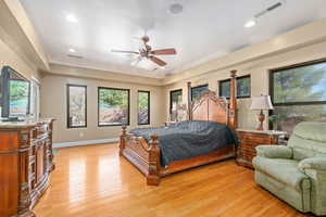 Bedroom featuring multiple windows, light wood-type flooring, ceiling fan, and a tray ceiling