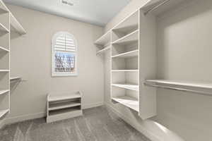 Walk in closet featuring light colored carpet