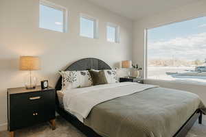 Bedroom featuring carpet floors