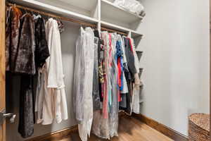Walk in closet with wood finished floors