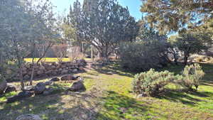 Yard is perfect for kids or pets!