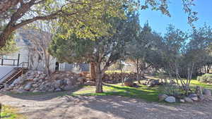 View of yard on the north side of house.