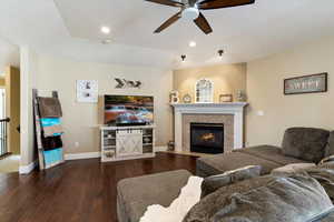 Living Room and Fireplace