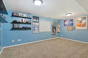 Huge Basement Room being used as a man cave
