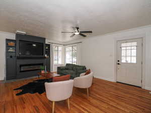 Living room with crown molding, hardwood / wood-style flooring, a large fireplace, a ceiling fan, and plenty of natural light