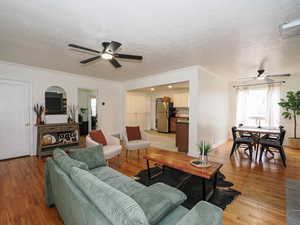 Living room with ceiling fan, light wood-type flooring, a textured ceiling, and crown molding