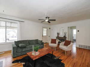 Living area with hardwood / wood-style flooring, a ceiling fan, and ornamental molding