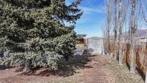 View of yard with a storage shed