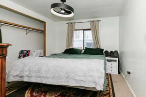 Carpeted bedroom featuring a closet