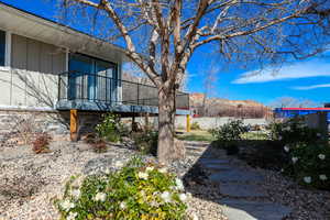 View of yard and deck from front drive