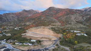 Aerial view of fall colors and mountainous background