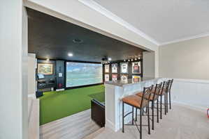 Bar area with golf simulator, a textured ceiling, ornamental molding, stone counters, and a wainscoted wall