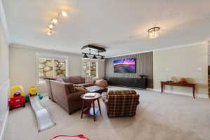 Carpeted living room with crown molding and a textured ceiling