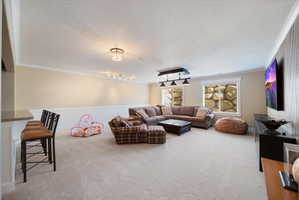 Living area featuring crown molding, light carpet, a wainscoted wall, and a textured ceiling