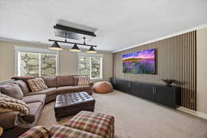 Carpeted living area featuring crown molding and a textured ceiling