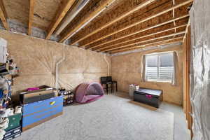 View of below grade area